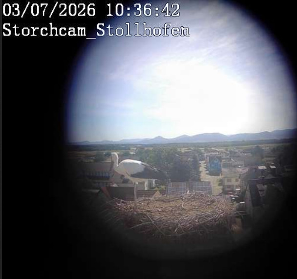 2026-07-03_103650.jpg