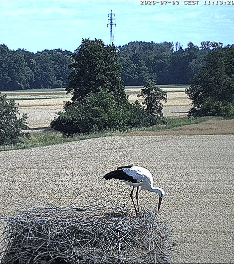 2026-07-03_111349.jpg