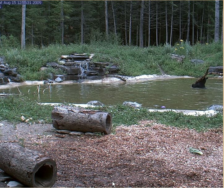 2009-08-15_195356.jpg