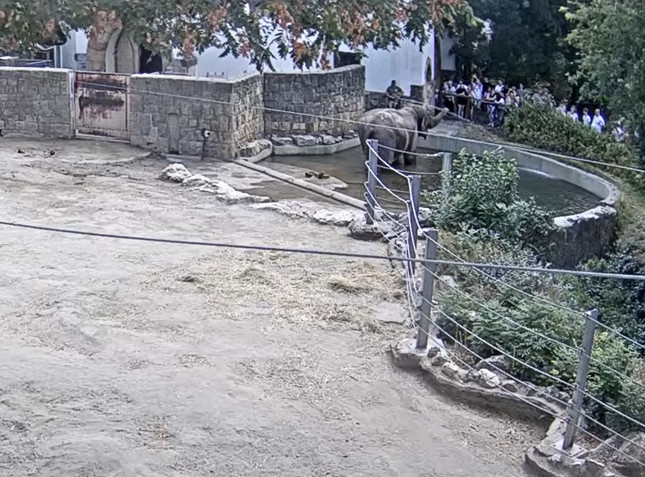 2026-08-22_144441.jpg