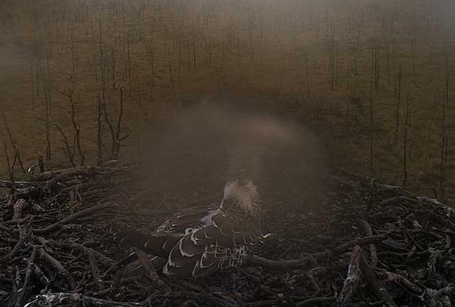 H_08_17_03.JPG