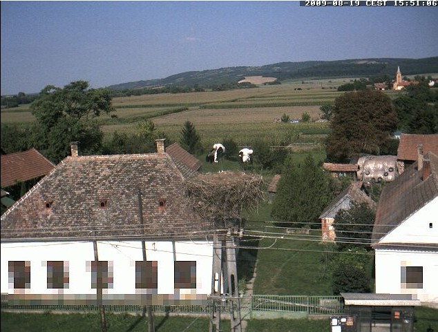 2009-08-19_154841.jpg