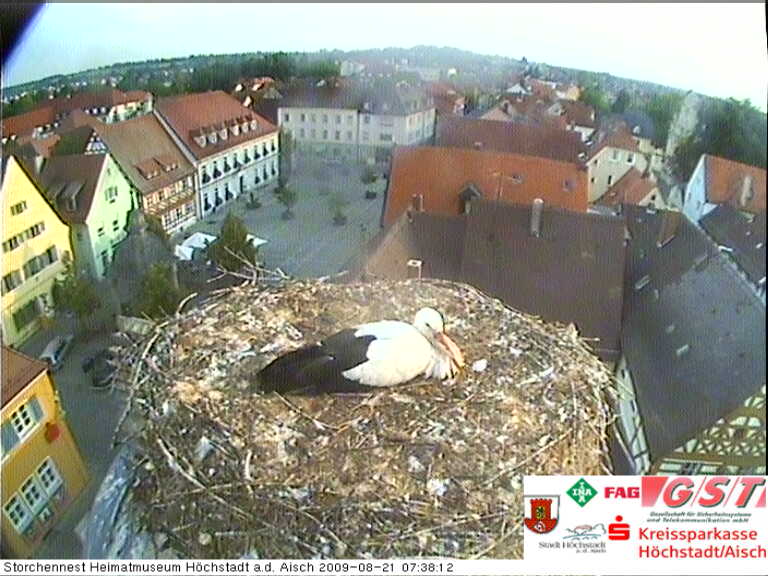 storch_cam_pic.jpg