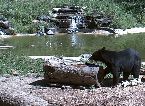 2009-08-21_211030.jpg