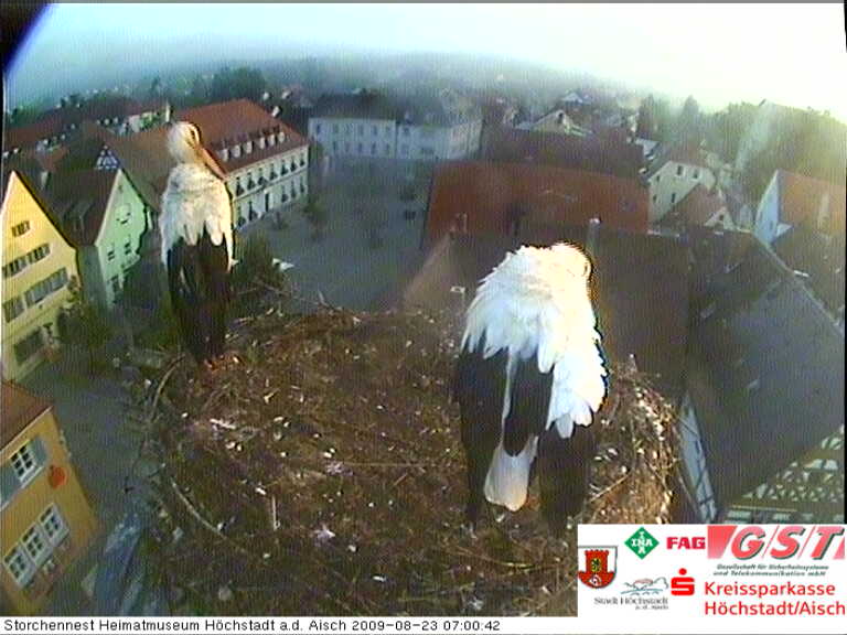 storch_cam_pic.jpg