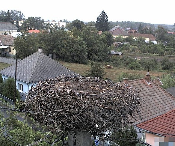 2009-08-23_143421.jpg