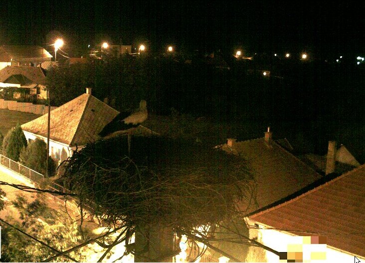 2009-08-23_234107.jpg