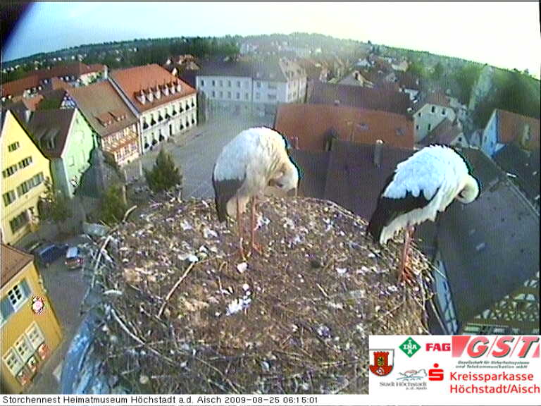 storch_cam_pic.jpg