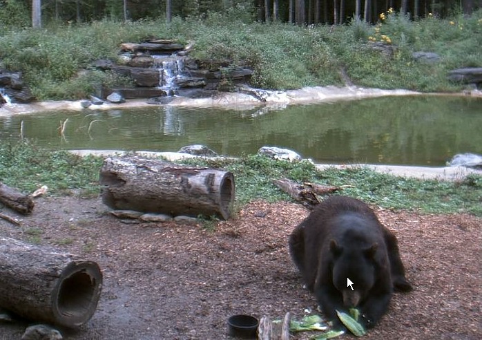 2009-08-28_210217.jpg