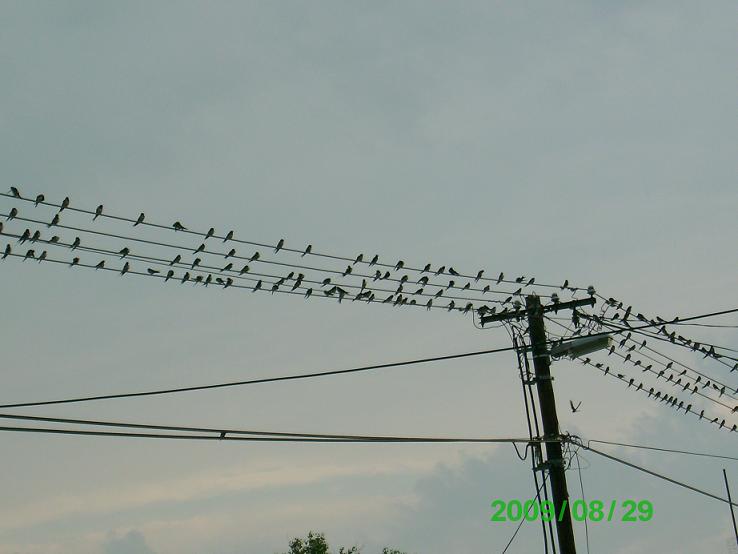 2009 jul.-aug. 086.jpg