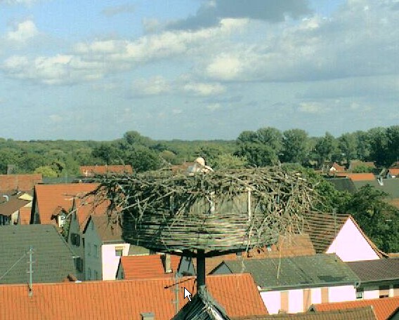 2009-09-05_165740.jpg