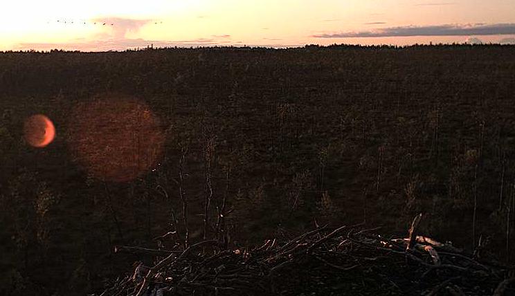 09_07_01.jpg