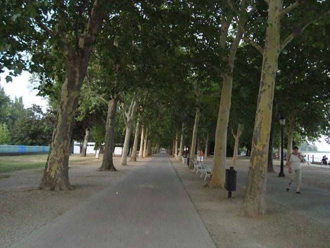 SÉTÁNY.JPG
