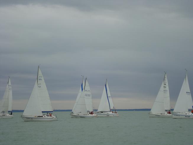 Dolfin OB 2009.JPG