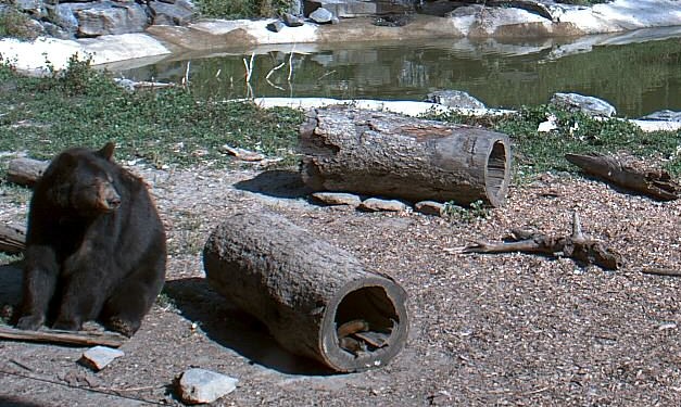 2009-09-08_222633.jpg