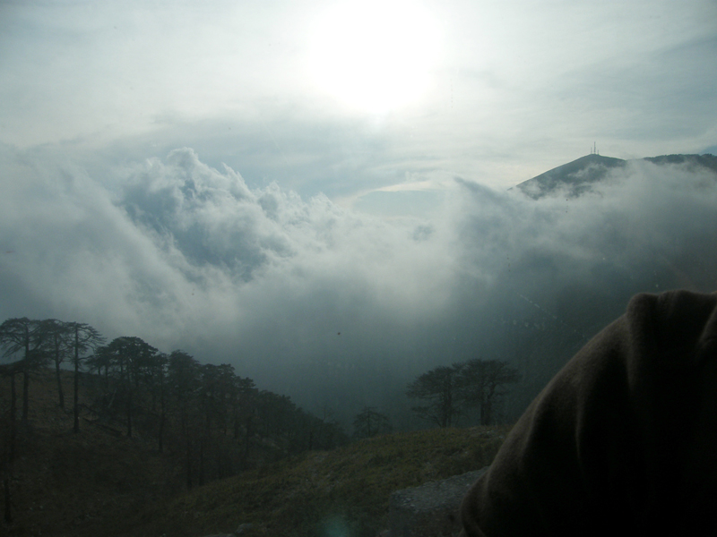 DSCF4998.JPG