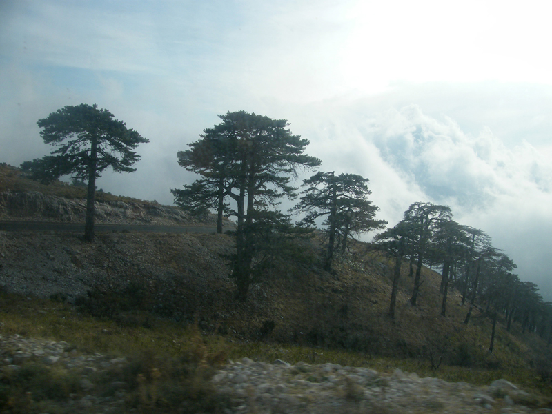 DSCF4999.JPG
