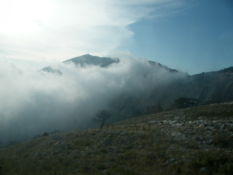 DSCF5002.JPG