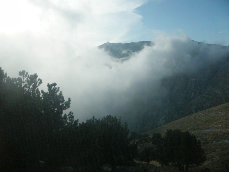 DSCF5004.JPG