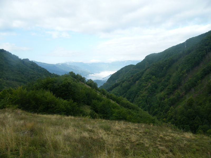 DSCF4712.JPG