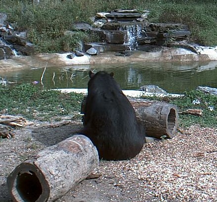 2009-09-16_220039.jpg