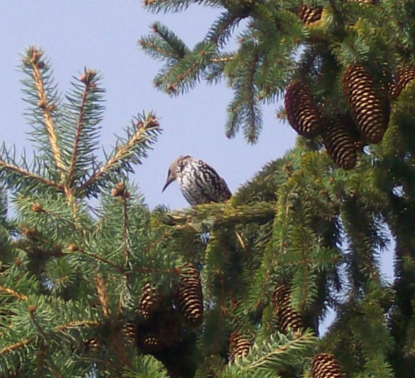 2009-09-20_174442.jpg