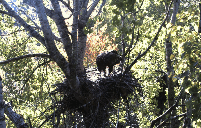 2009-09-21_114625.gif