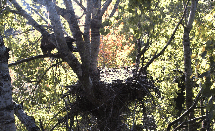 2009-09-21_114653.gif