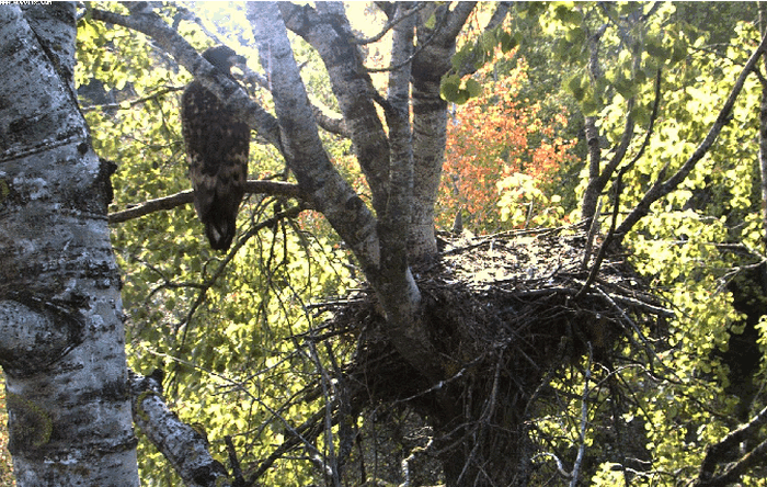 2009-09-21_114815.gif