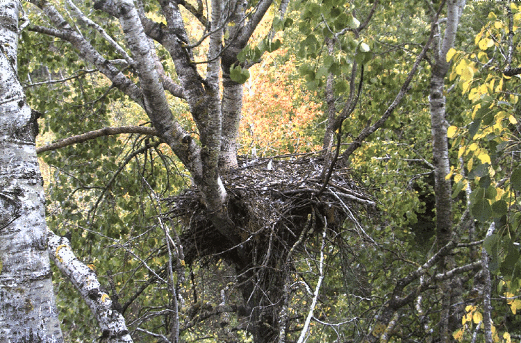 2009-09-21_115937.gif