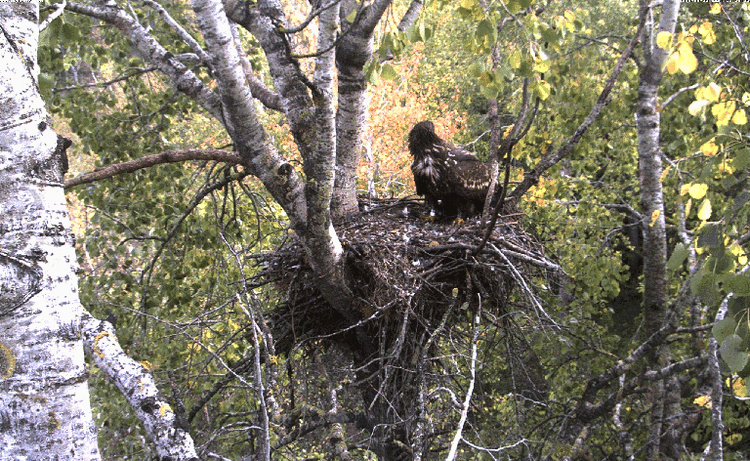 2009-09-23_132532.gif