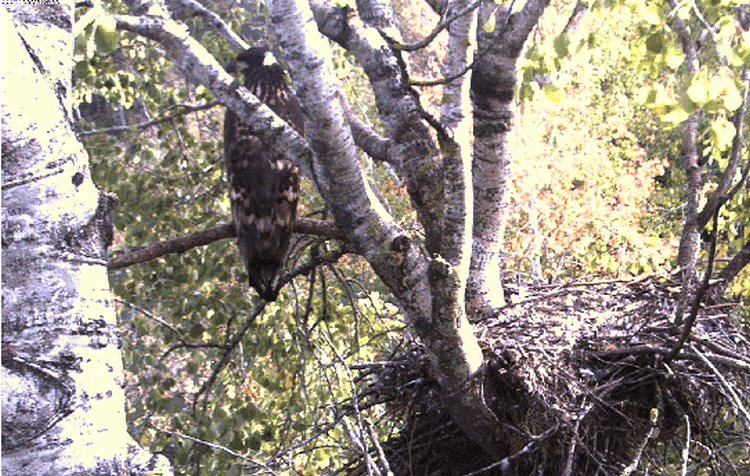2009-09-23_132934.gif