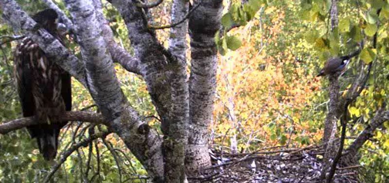 vlcsnap-41150825.jpg