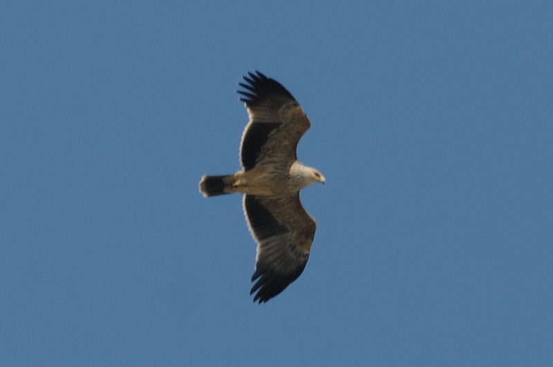 2009.09.27 170a.jpg