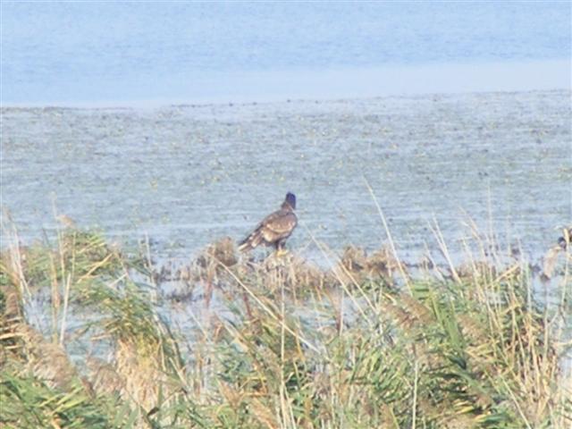 DSCF7712 (Small).JPG
