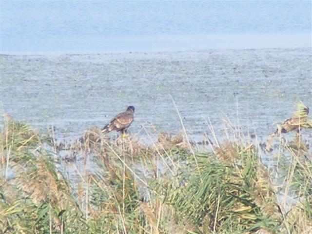 DSCF7713 (Small).JPG