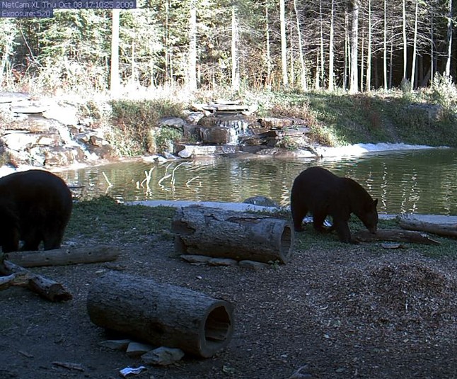 2009-10-09_000805.jpg