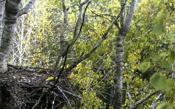2009-10-09_193357.png