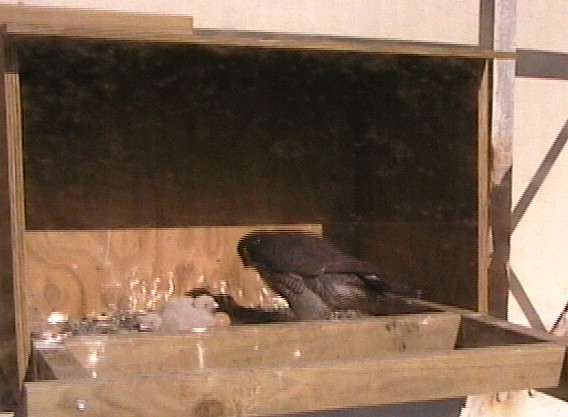 2009-10-10_000924.jpg