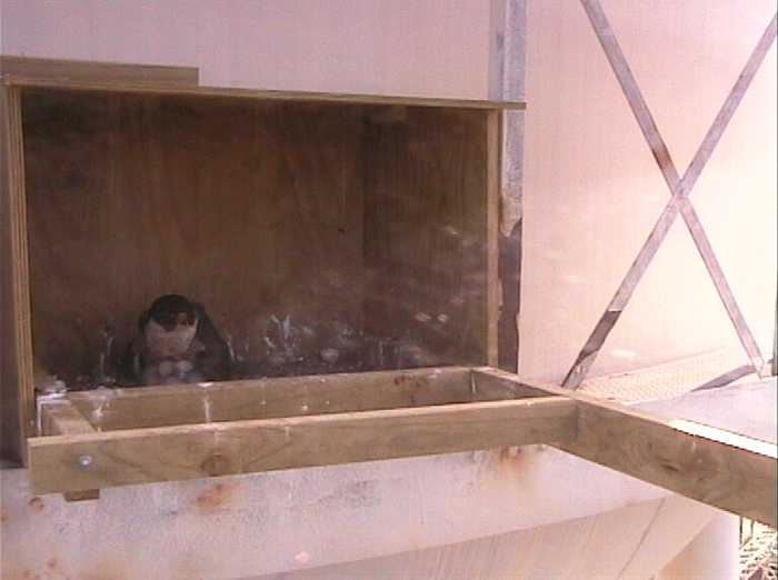 2009-10-10_060728.png