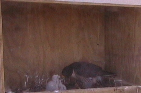 2009-10-10_073216.jpg