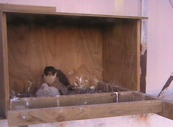 2009-10-10_214319.jpg