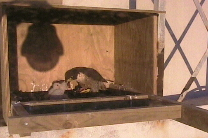 2009-10-10_221051.png