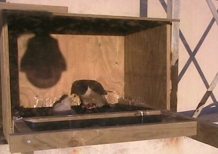 2009-10-10_221339.png