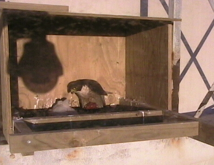 2009-10-10_221733.png