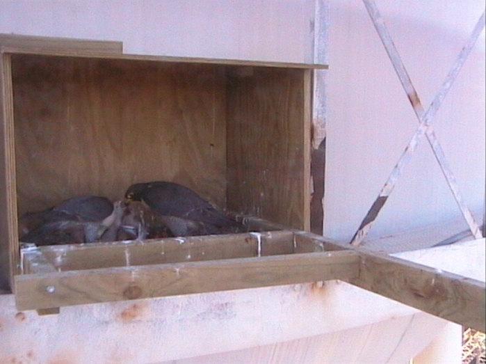 2009-10-11_085920.png