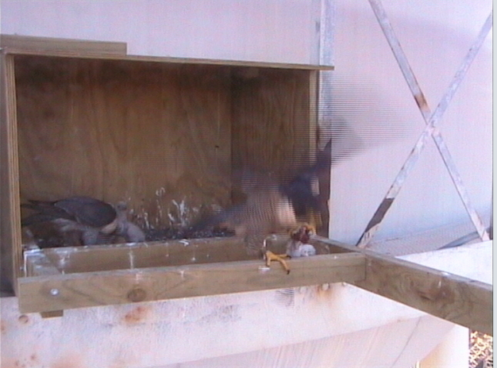 2009-10-11_090416.png