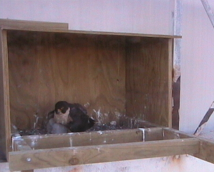 2009-10-11_092436.png