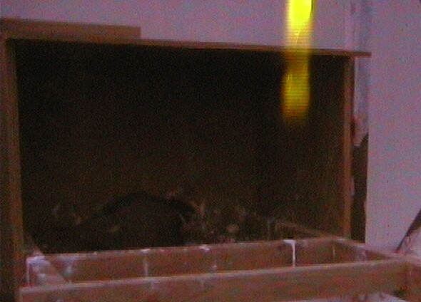 2009-10-11_212951.jpg