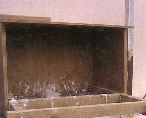 2009-10-12_004845.jpg
